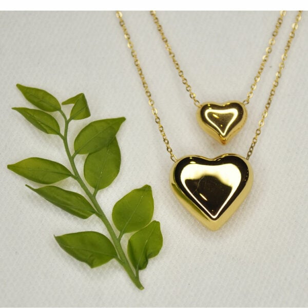 Double heart pendant necklace 