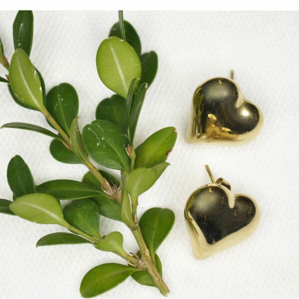 Heart stud earrings
