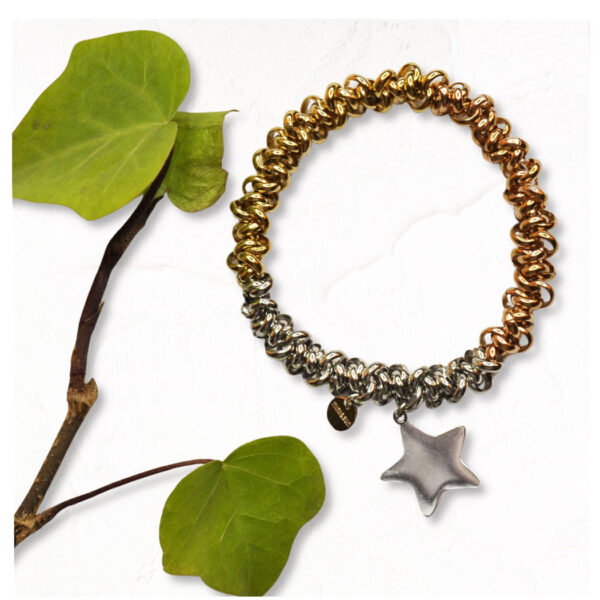 Big star charm bracelet<