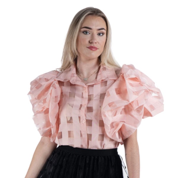Bubble sleeve sheer check blouse