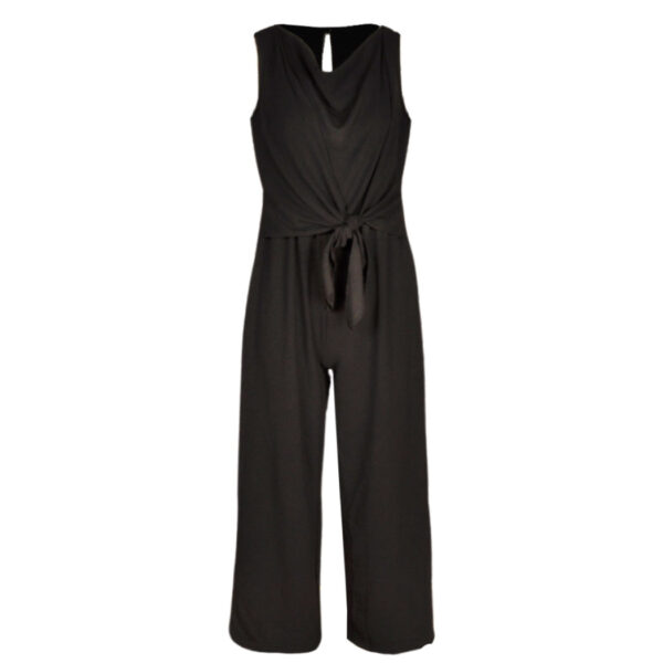 Front tie cowl neck jumpsuit