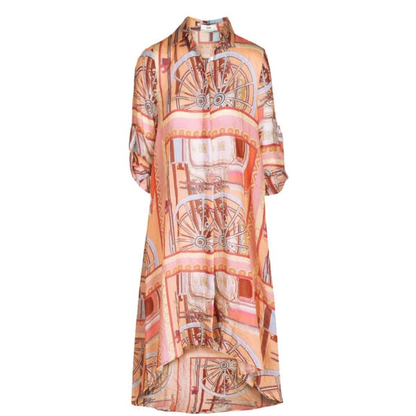 Carriage print shirt dress