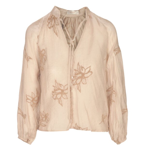 Embroidered detail sheer blouse