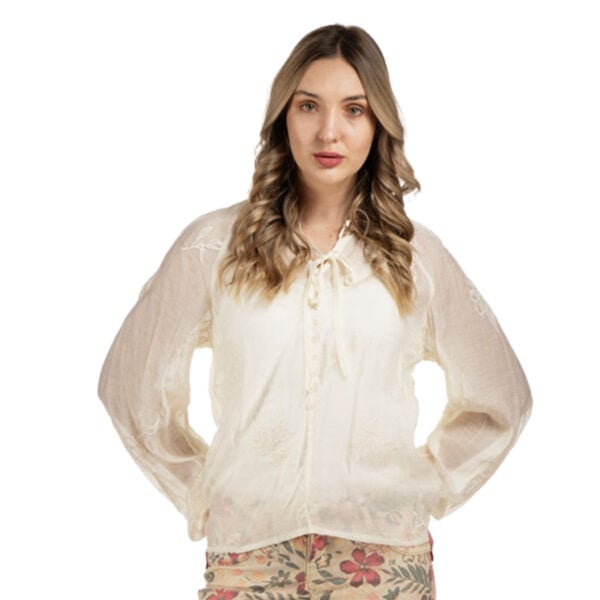 Embroidered button detail sheer blouse