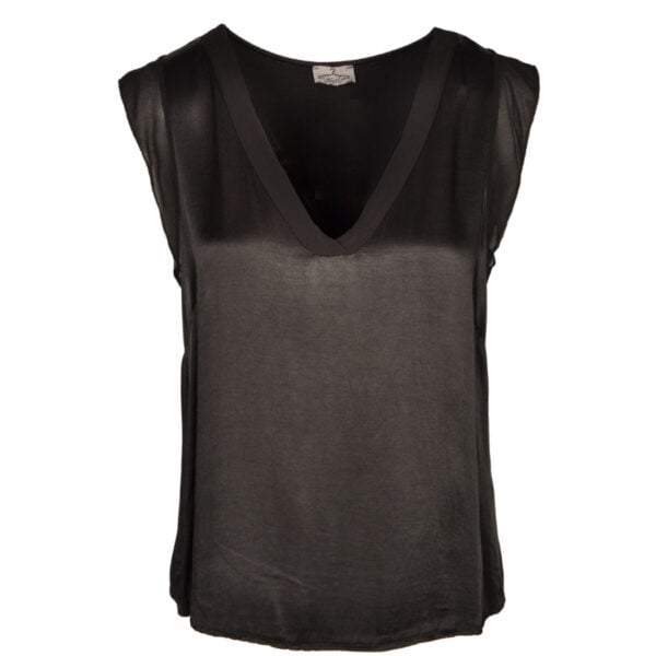 Frill sleeve silky sheer top